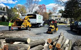Best Grass Overseeding  in Ivyland, PA
