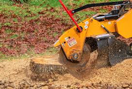 Tree and Shrub Care in Ivyland, PA