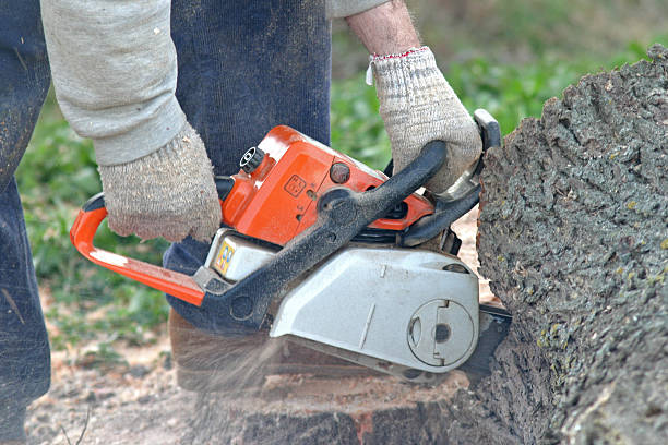 Best Soil Testing and Treatment  in Ivyland, PA